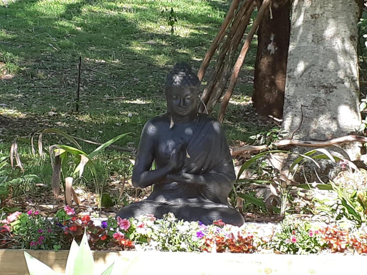 Mapleton Peaceful Provence Bnb Zewnętrze zdjęcie